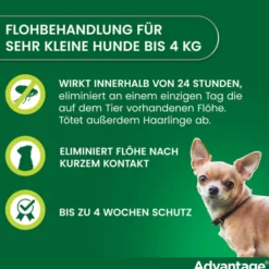 Advantage 40 Lösung für Hunde bis 4 kg 4 Einzeldosispipetten