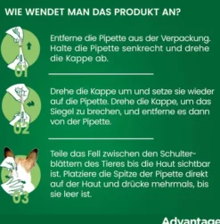 Advantage 40 Lösung für Hunde bis 4 kg 4 Einzeldosispipetten