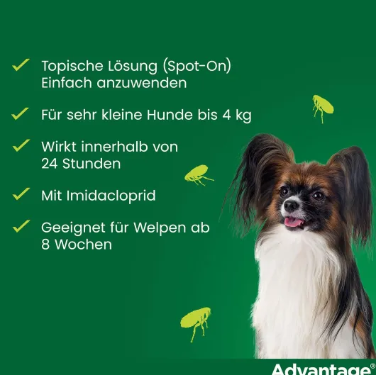 Advantage 40 Lösung für Hunde bis 4 kg 4 Einzeldosispipetten