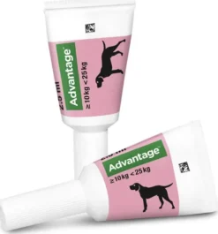 Advantage 250 Lösung für Hunde 10 - 25 kg 4 Einzeldosispipetten