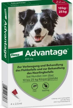 Advantage 250 Lösung für Hunde 10 - 25 kg 4 Einzeldosispipetten
