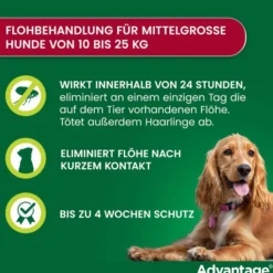 Advantage 250 Lösung für Hunde 10 - 25 kg 4 Einzeldosispipetten