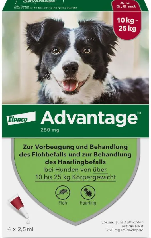 Advantage 250 Lösung für Hunde 10 - 25 kg 4 Einzeldosispipetten