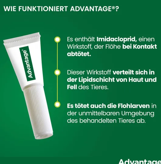 Advantage 250 Lösung für Hunde 10 - 25 kg 4 Einzeldosispipetten