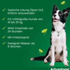 Advantage 250 Lösung für Hunde 10 - 25 kg 4 Einzeldosispipetten