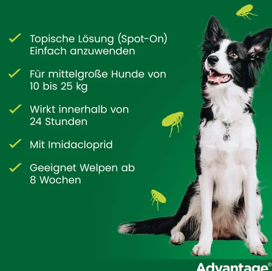 Advantage 250 Lösung für Hunde 10 - 25 kg 4 Einzeldosispipetten