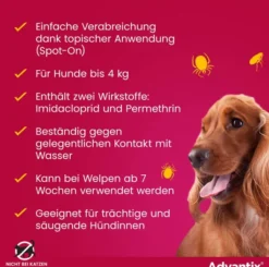 Advantix Spot-On Hund bis 4 kg 4 x 0,4 ml Lösung