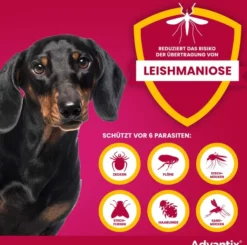 Advantix Spot-On Hund bis 4 kg 4 x 0,4 ml Lösung