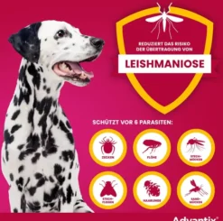 Advantix Spot-On Hund 10-25 kg 4 x 2,5 ml Lösung