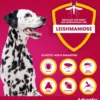 Advantix Spot-On Hund 25-40 kg 4 x 4 ml Lösung
