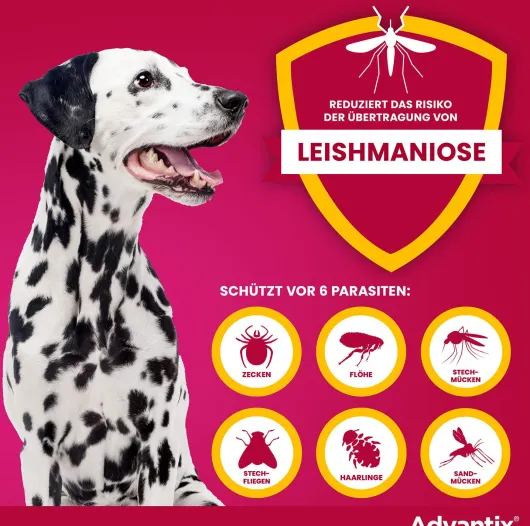 Advantix Spot-On Hund 25-40 kg 4 x 4 ml Lösung