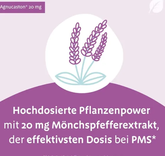Agnucaston 20 mg 90 Filmtabletten