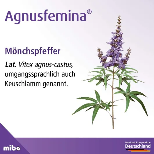 Agnusfemina 4 mg Filmtabletten 60 Filmtabletten