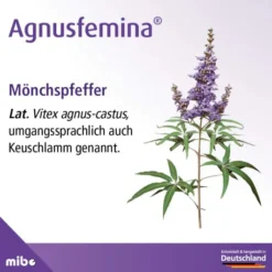 Agnusfemina 4 mg 100 Filmtabletten