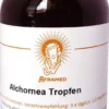 Alchornea Tropfen 100 ml