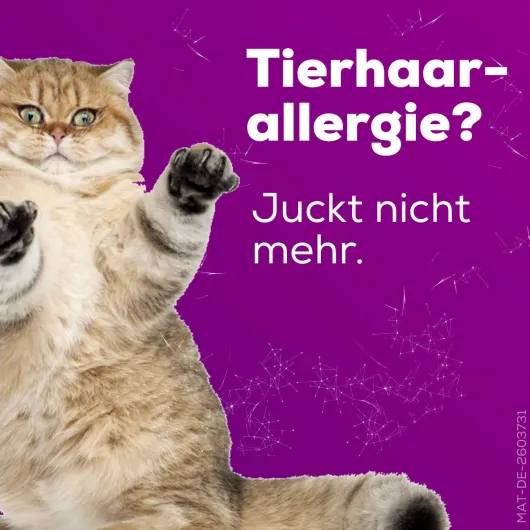Allegra Allergietabletten 20 mg 6 Tabletten