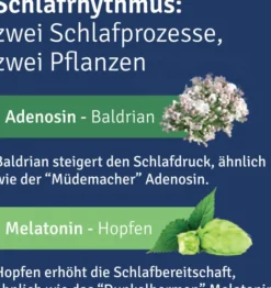 Alluna Schlaf Filmtabletten 20 Stück