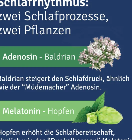 Alluna Schlaf Filmtabletten 60 Stück