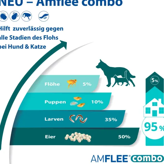 Amflee Combo 134 mg - 120,6 mg Spot-On Lösung Für Mittelgroße...