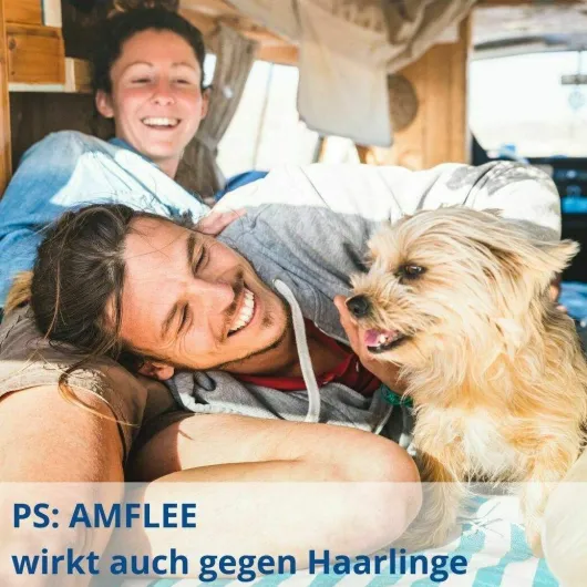 Amflee 268 mg Spot-On Lösung Für Große Hunde 20 - 40 KG 3 Stück