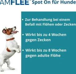 Amflee 67 mg Spot-On Lösung Für Kleine Hunde 2 - 10 KG 3 Stück
