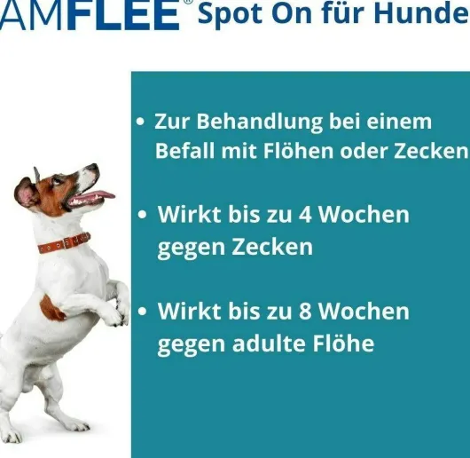 Amflee 67 mg Spot-On Lösung Für Kleine Hunde 2 - 10 KG 3 Stück