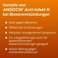 Angocin Anti Infekt N 500 Filmtabletten