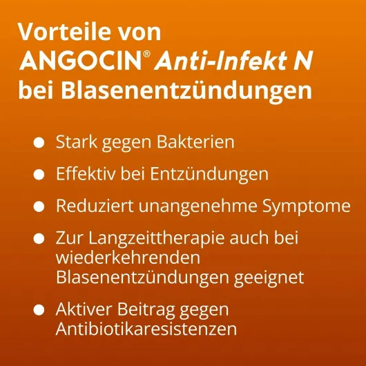 Angocin Anti-Infekt N 540 Filmtabletten