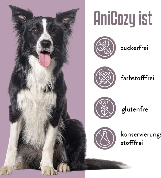 AniCozy Vitamin Ergänzungsfuttermittel für Hunde 300 g