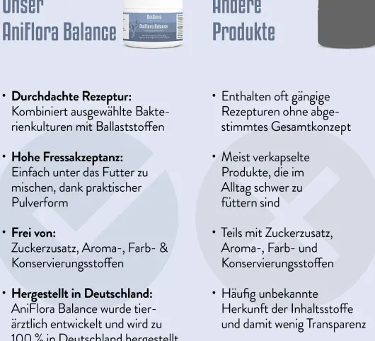 AniFlora Balance Flohsamenschalen + Ballaststoff für Hunde 60 g Pulver