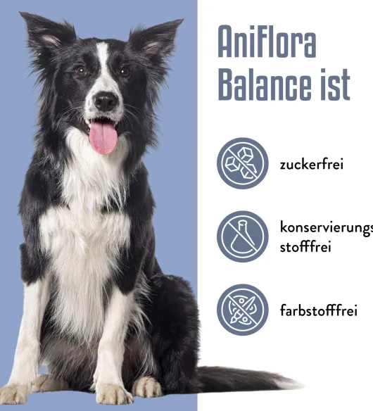 AniFlora Balance Flohsamenschalen + Ballaststoff für Hunde 60 g Pulver