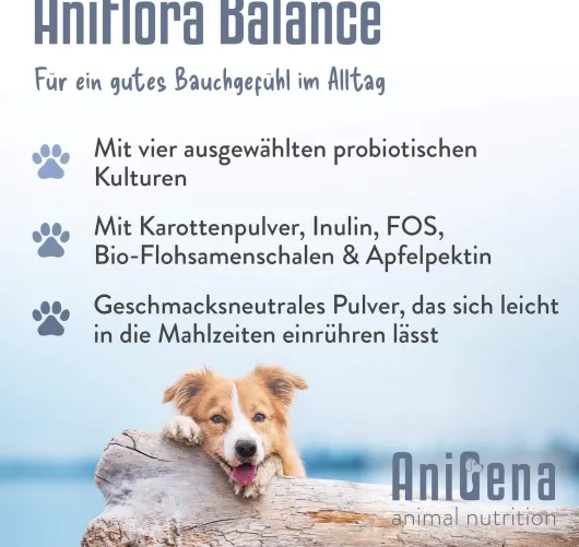 AniFlora Balance Flohsamenschalen + Ballaststoff für Hunde 60 g Pulver