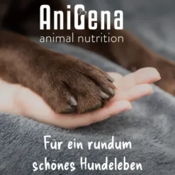 AniMove Kollagen + Glucosamin + Chondroitin + MSM für Hunde 200 g Pulver