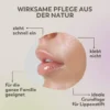 Apothekers Lippenbalsam 1 Dose
