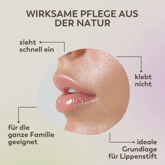 Apothekers Lippenbalsam 1 Dose