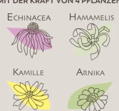 Apothekers Lippenbalsam 1 Dose