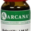 Arcana Pulsatilla 6 Lm Dilution Verdünnung 10ml