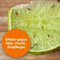 Ardap Fruchtfliegenfalle 1 Stück