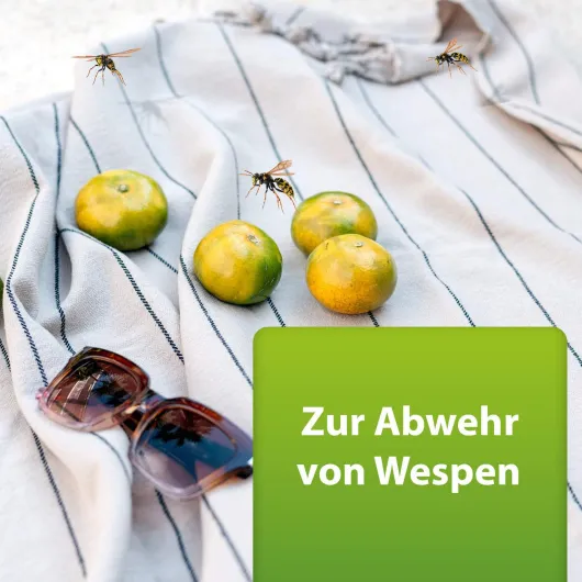 Ardap Repell Wespenspray 400 ml