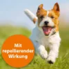 Ardap Zecken-Und Floh-Puder Für Hunde und Katzen 150 G