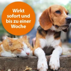 Ardap Zecken-Und Floh-Puder Für Hunde und Katzen 150 G