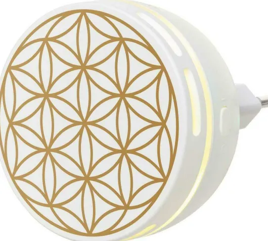 Aroma Duftstecker Easy 1 Stück