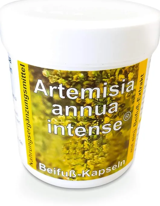 Artemisia Annua Beifuss 90 Kapseln