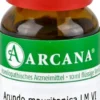 Arundo Mauritanica Lm 6 Dilution