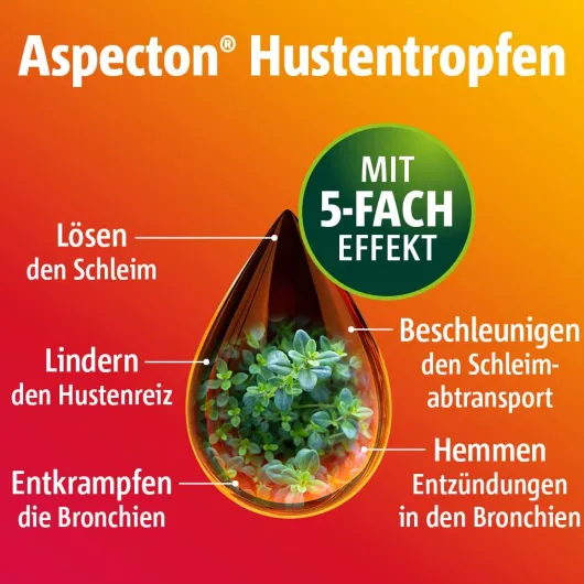 Aspecton Hustentropfen 50 ml Tropfen