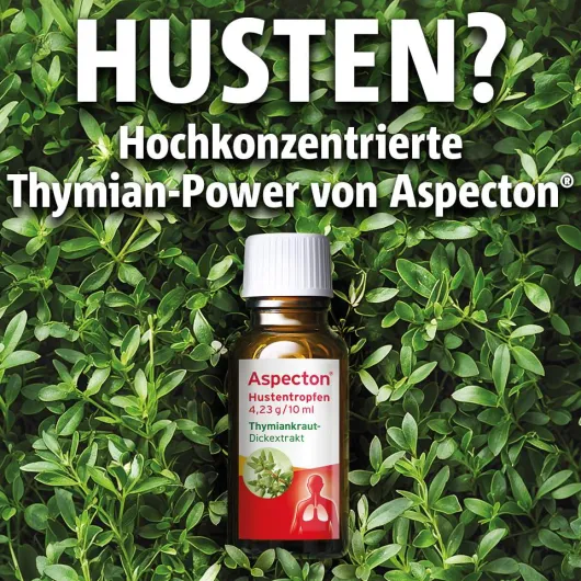 Aspecton Hustentropfen 50 ml Tropfen