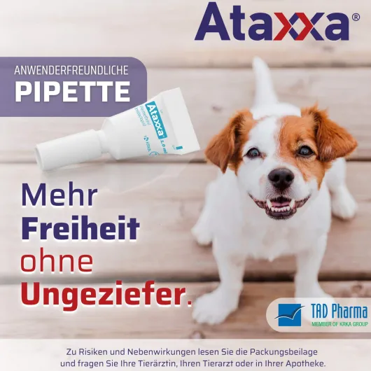 Ataxxa 1250 mg-250 mg Lösung zum Auftropfen für Hunde von 10-25 kg 3 Pipetten