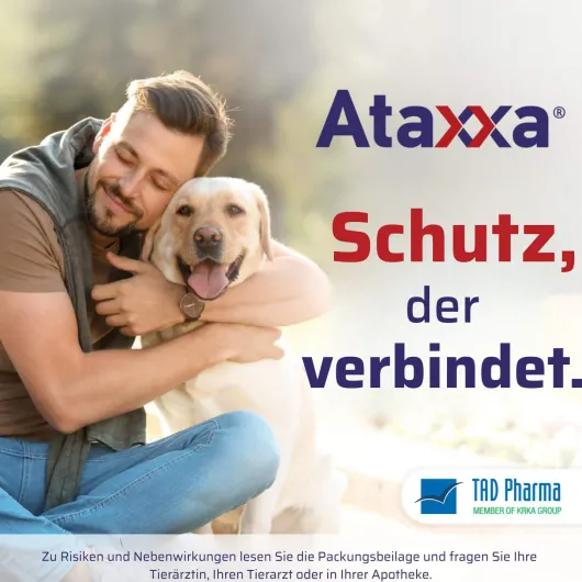 Ataxxa 1250 mg-250 mg Lösung zum Auftropfen für Hunde von 10-25 kg 3 Pipetten