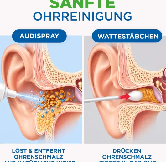 Audispray Ohrhygiene Adult 20 ml