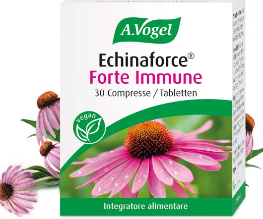 A.Vogel Echinaforce Forte Immune 30 Tabletten